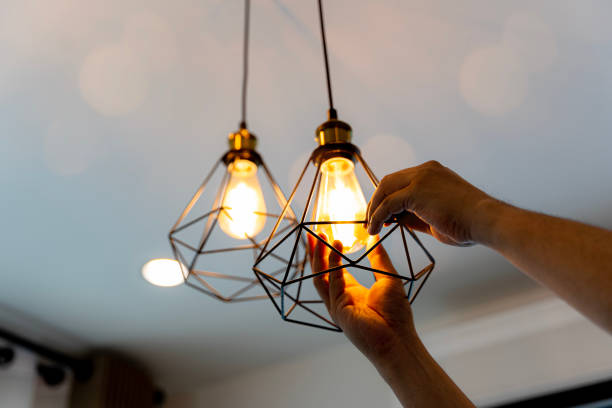 Best Ceiling Fan Installation Electrician  in South Waverly, PA